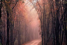 2025爱游戏体育app登录入口官网😂真是不给面啊！阿尔巴罚中点球后，原地嘲讽对方门将