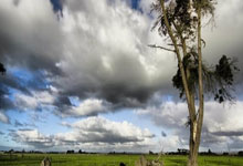 2025爱游戏体育在线登录利物浦战平水晶宫，保持英超不败纪录