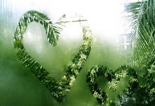 2025爱游戏体育平台官网英媒：努涅斯现周薪为14万镑，去利雅得新月周薪可升至40万镑，努涅斯集锦