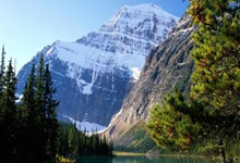 2025爱游戏体育在线网址世锦赛跳水再现冷门！中国双保险仍丢金，墨西哥黑马夺金，世锦赛跳水2021