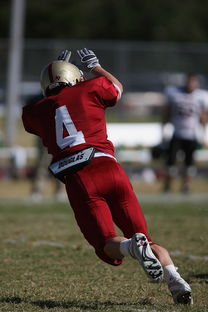 2025爱游戏体育app官网入口火箭队将在休赛期追逐优秀后卫球员  第2张